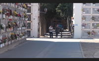 quartu ladri di fiori in cimitero scattano i controlli