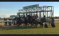 a villacidro riapre l ippodromo gestito dal comune caso nazionale