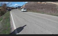 genuri allarme per le vacche in strada i sindaci automobilisti a rischio
