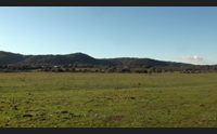 olbia allevatori in crisi vasche antipiena sui terreni agricoli