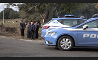 peste suina abbattimenti in ogliastra e barbagia protestano i sindaci