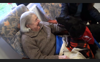 senis regalo di natale per gli anziani un pomeriggio con i cani