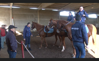 oristano visite per i cavalli ma la sartiglia ancora in bilico