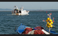 sulcis pesca e agricoltura i ritardi di bruxelles e le crisi di settore