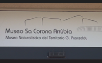 sa corona arrubia museo regionale festa con i bambini bosniaci