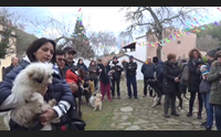 iglesias la benedizione degli animali sant antonio li protegga
