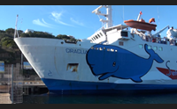 trasporti navali il gruppo moby tirrenia rilancia l offerta sull isola