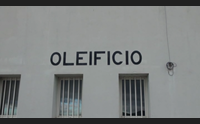 la sfida di berchidda da capitale del vermentino a citt dell olio