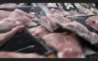 agnello sardo igp una carne speciale da consumarsi tutto l anno