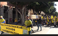 cagliari giovani in piazza per celebrare il funerale dell agricoltura