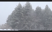 fonni aspetta sa temporada manna come la grande nevicata del 56