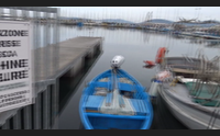alghero i pescatori in crisi restituiremo le schede elettorali