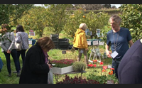 a milis la primavera in giardino passeggiate fra storia e natura