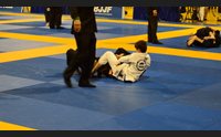 los angeles l italia ai pan kids di jiu jitsu con tre ragazzi di nuoro