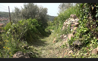 gli antichi sentieri del mejlogu a spasso per monumenti boschi e chiese