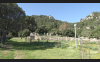 jerzu i cittadini comprano le piante per l area verde di sant antonio