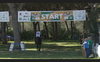 arborea endurance festival a cavallo nello spettacolo della natura