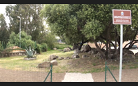 olbia ecologia sociale nel centro umanitario i fiori della carit