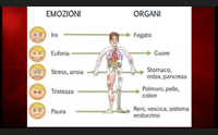oncologia integrata la nuova frontiera della cura dei tumori