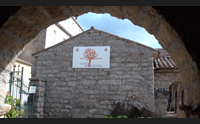 natura e turismo a calangianus apre il primo centro micologico