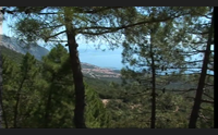 cala gonone con la moto contro un albero muore un centauro di dorgali