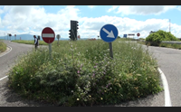 erba alta nelle strade i sindaci emergenza sicurezza intervenite