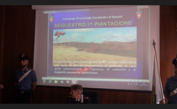 sassari 17 arresti per droga indagini partite dall omicidio di al dei sardi