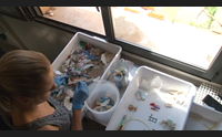 oristano la giornata degli oceani il pericolo la plastica