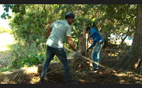 sassari extracomunitari ecologici quando l integrazione funziona