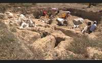 cabras nuovi scavi a tharros cerchiamo il quartiere artigianale