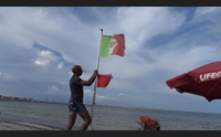 alghero e golfo dell asinara i turisti arrivano dal nord europa
