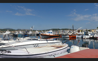 olbia le navi invadono l area marina