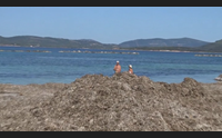 alghero spiagge impraticabili l ultimatum del comune ai balneari
