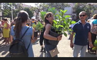 cagliari al via la nuova edizione di mettete fiori nei vostri balconi