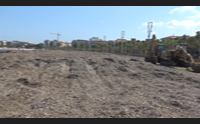 alghero e l emergenza posidonia il comune libera san giovanni