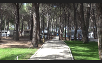 torregrande federcamping non penalizzate il turismo all aria aperta