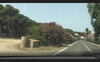 alghero un ticket per punta giglio cos perdiamo i turisti