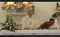 terralba il culto della madonna di bonaria sia festa di inclusione