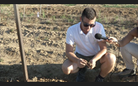 attenzione audio ogliastra la scommessa degli agricoltori bio qualit sarda