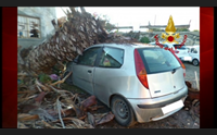 cagliari palma caduta sull auto verde pubblico e sicurezza