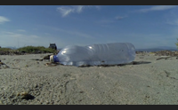 giorgia palmas col wwf per la campagna spiagge plastic free
