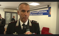 neoneli e sanluri sequestrate 1000 piante di marijuana 5 arresti