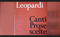 bufale in rete la storia della nonnina e il bot da mezzo milione
