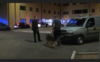scoperto dalla guardia di finanza traffico di droga campania sardegna