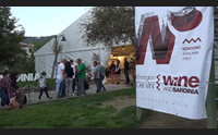 il mandrolisai punta sull enologia successo per wine and sardinia