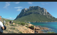 olbia salvaguardia ambiente e specie protette a tavolara il progetto life puffinus