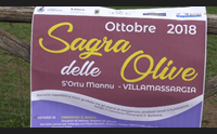 villamassargia sagra delle olive poca produzione ma olio di qualit