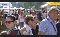 arborea la festa della polenta confronto fra ricette di tutta italia