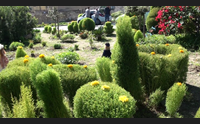 a sanluri un giardiniere per passione crea un parco amo il mio paese