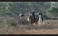 arzachena escursioni a cavallo per allungare la stagione turistica